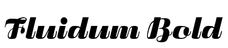 Fluidum Bold Font Image