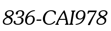 836-CAI978