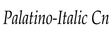Palatino-Italic Cn
