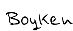 Boyken