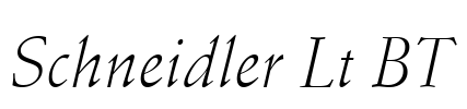 Schneidler Lt BT Font Image