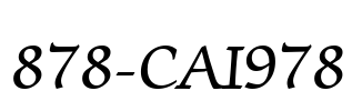 878-CAI978