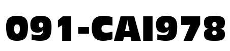 091-CAI978 Font Image