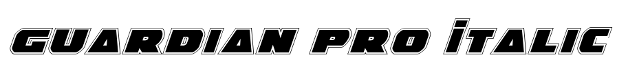 Guardian Pro Italic