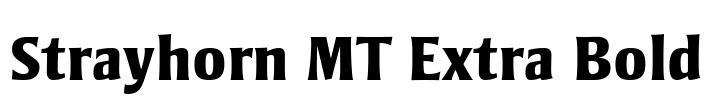 Strayhorn MT Extra Bold Font Image