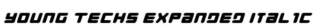 Young Techs Expanded Italic
