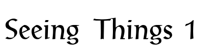 Seeing Things 1 Font Image