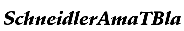 SchneidlerAmaTBla Font Image