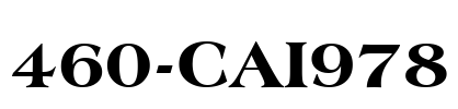 460-CAI978 Font Image