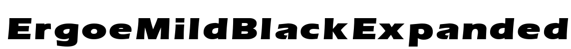 ErgoeMildBlackExpanded Font Image