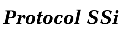 Protocol SSi Font Image