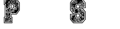 Paysley Sports