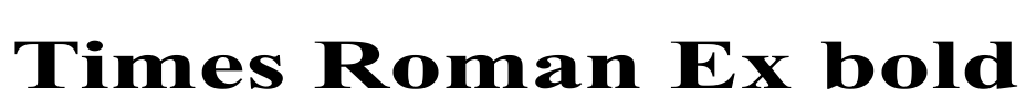 Times Roman Ex bold