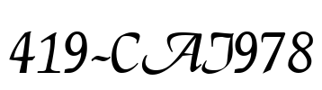 419-CAI978
