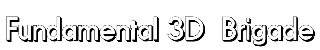 Fundamental 3D  Brigade