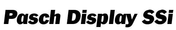 Pasch Display SSi