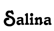 Salina Font Image