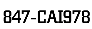 847-CAI978