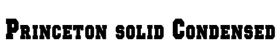 Princeton solid Condensed Font Image