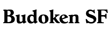 Budoken SF Font Image
