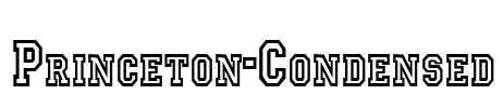 Princeton-Condensed Font Image