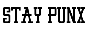STAY PUNX