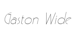 Gaston Wide