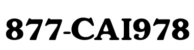 877-CAI978