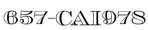 657-CAI978
