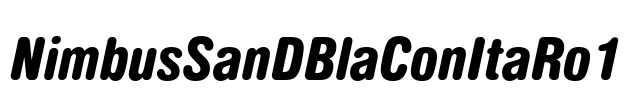 NimbusSanDBlaConItaRo1 Font Image