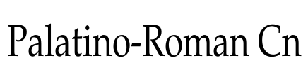 Palatino-Roman Cn