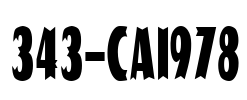 343-CAI978