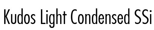 Kudos Light Condensed SSi Font Image