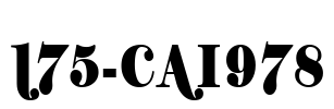 175-CAI978 Font Image