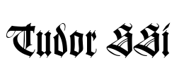 Tudor SSi Font Image