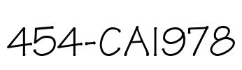 454-CAI978
