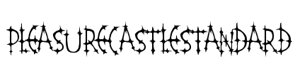 PleasureCastleStandard