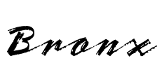 Bronx Font Image