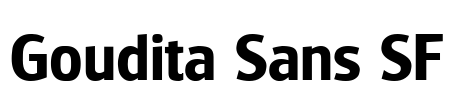 Goudita Sans SF Font Image