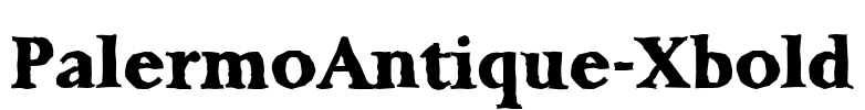 PalermoAntique-Xbold Font Image