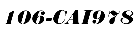 106-CAI978 Font Image