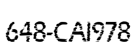 648-CAI978