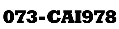 073-CAI978 Font Image