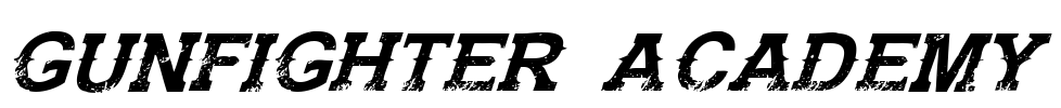 Gunfighter Academy