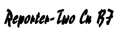 Reporter-Two Cn BI Font Image