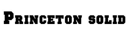 Princeton solid Font Image