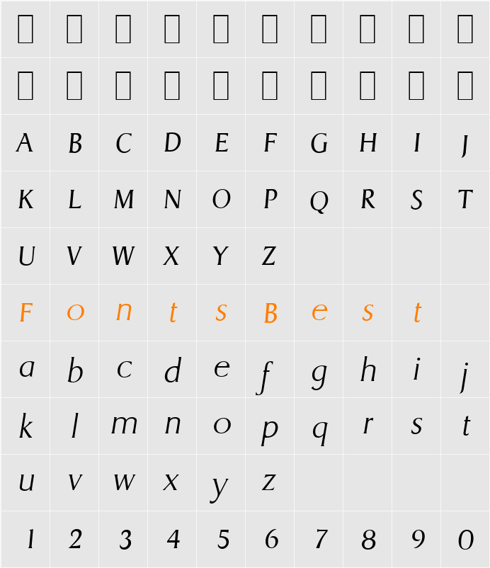 DragonSerial-Xlight Character Map