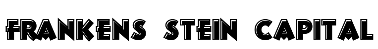 Frankens Stein Capital