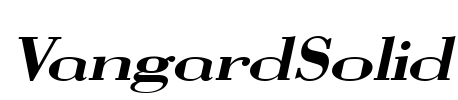 VangardSolid