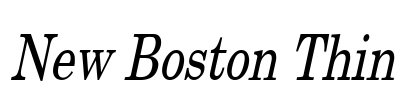 New Boston Thin Font Image